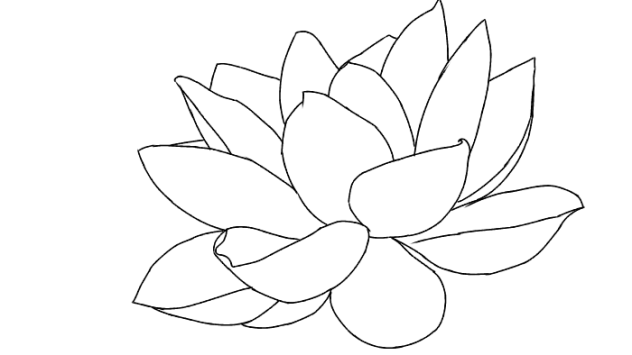 Lotus