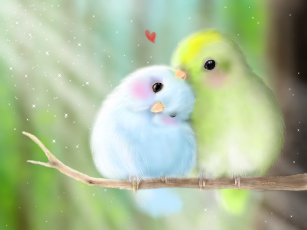Love birds