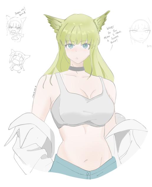 Perlica Arknights Endfield