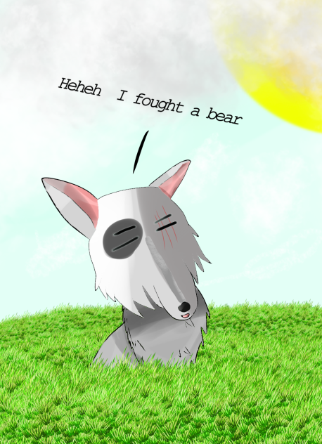 A wolf got into a fight with a bear