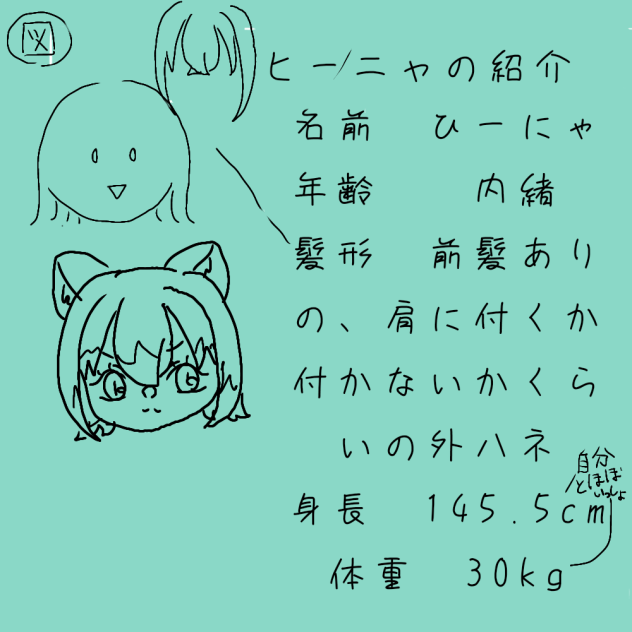 ヒーニャの紹介