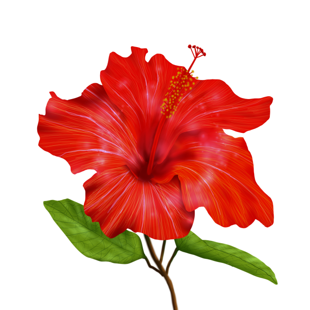 Flower 01