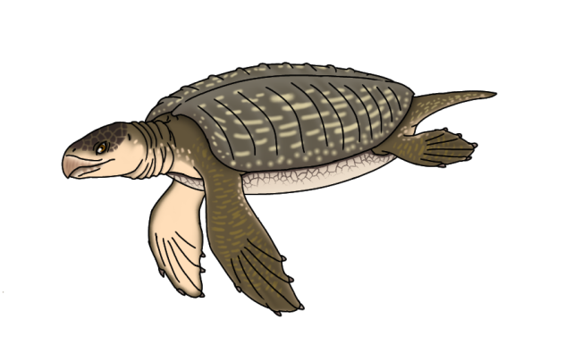 Archelon