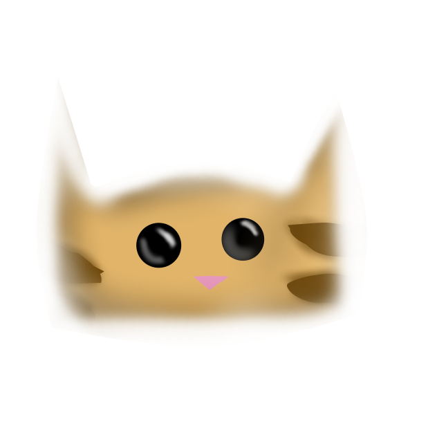 Low quality cat