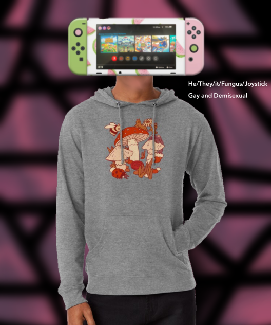 Shroom with his pronouns and sexuality