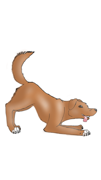 Shasta