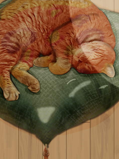 Editing my sleeping pet cat