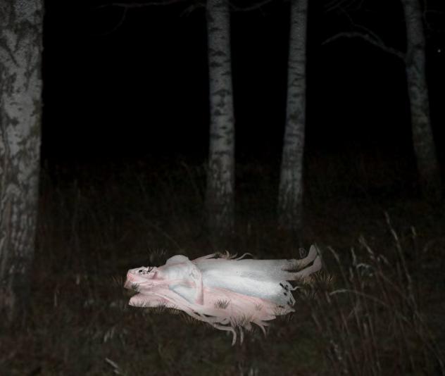 aehfrist pondering its life