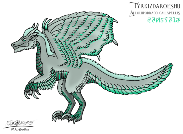Tyrkizdaroeshu6