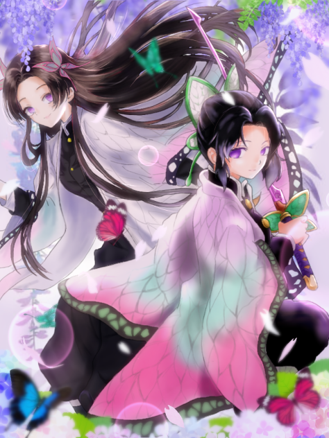 鬼滅の刃 胡蝶カナエ、しのぶ - ibisPaint