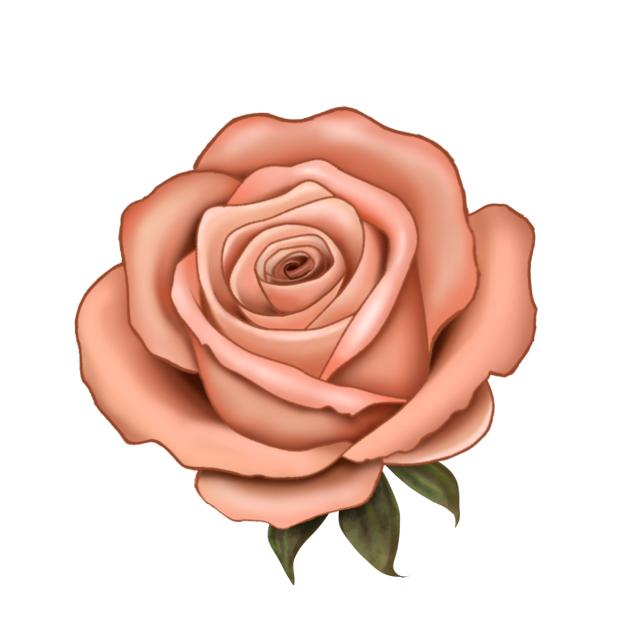 flower ♥︎1