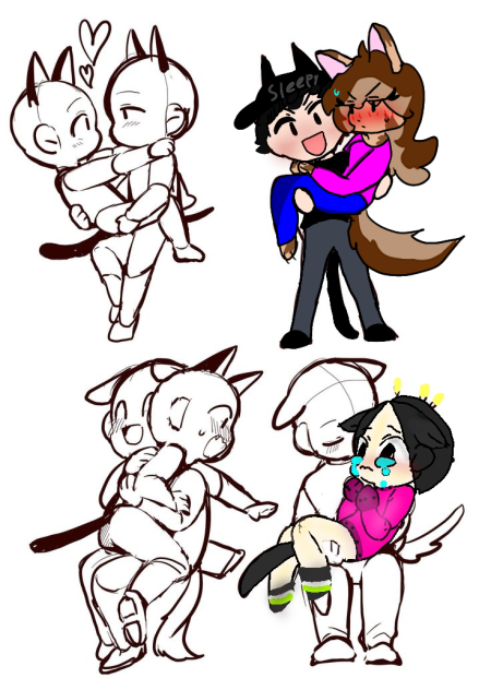 dog and cat collab