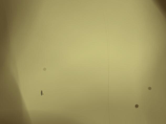 Bendy animation