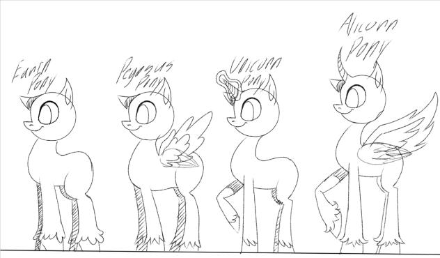 Pony Body Types