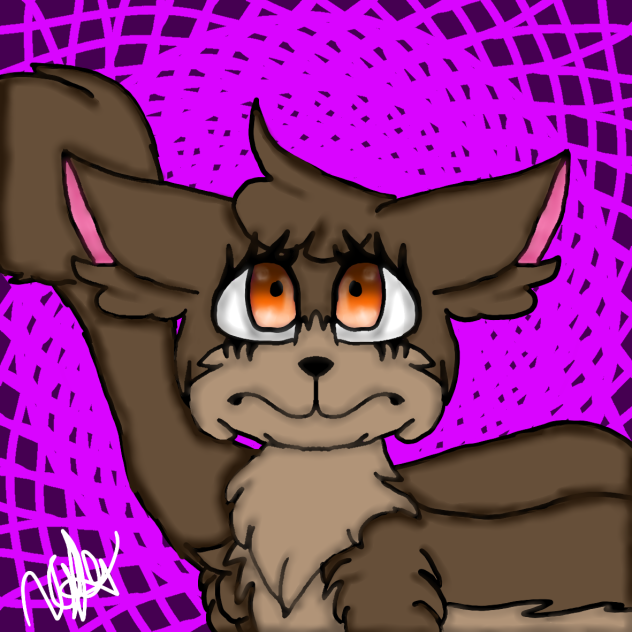 brown cat
