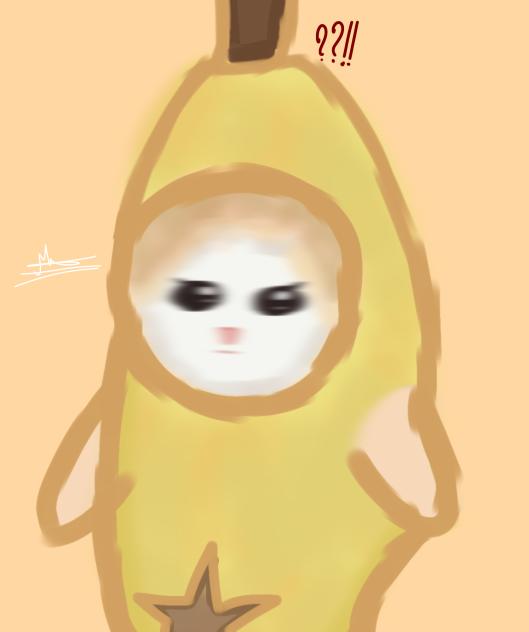 Banana cat