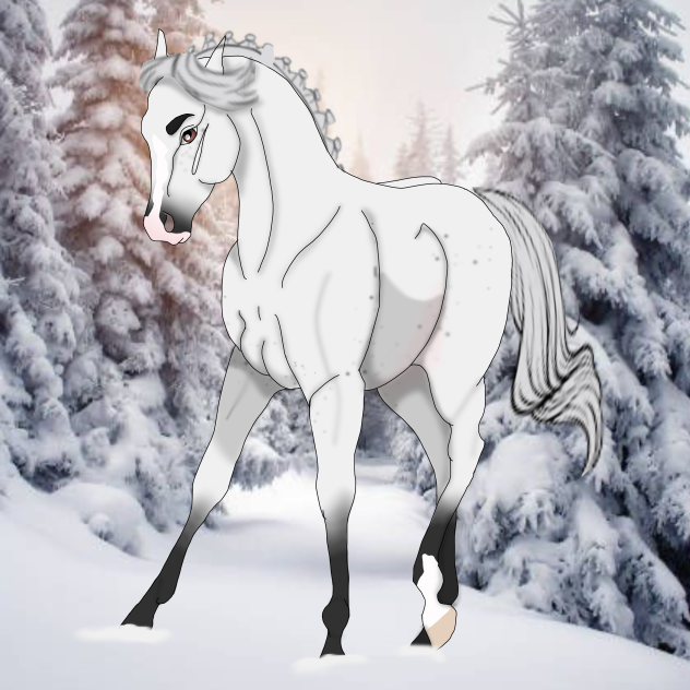 Snowy - ibisPaint