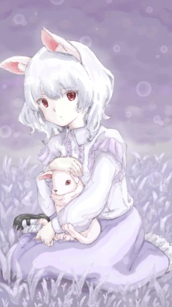 白兎