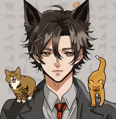 Here kitty