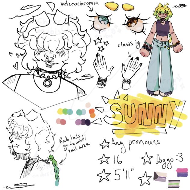 new sona