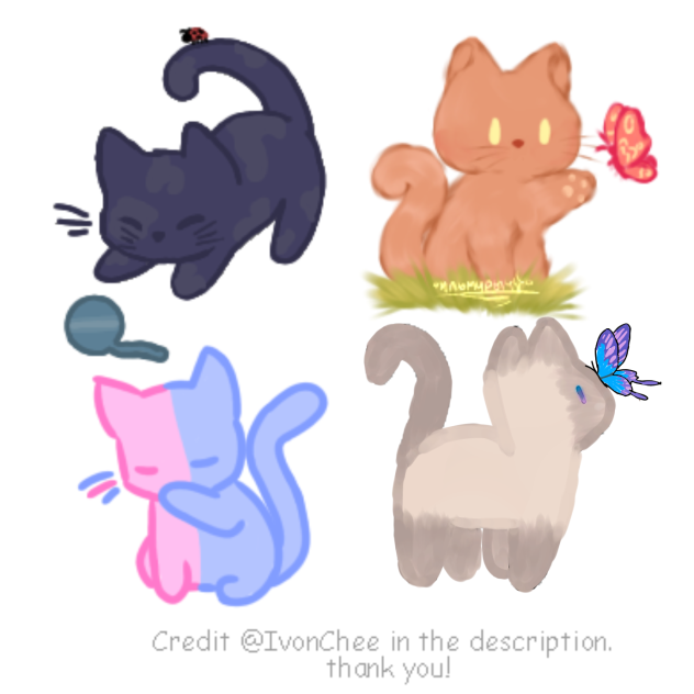 Kitten collab