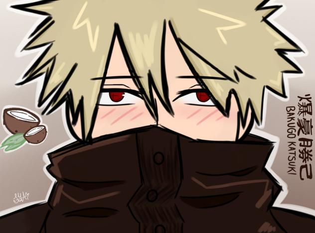 katsuki bakugo