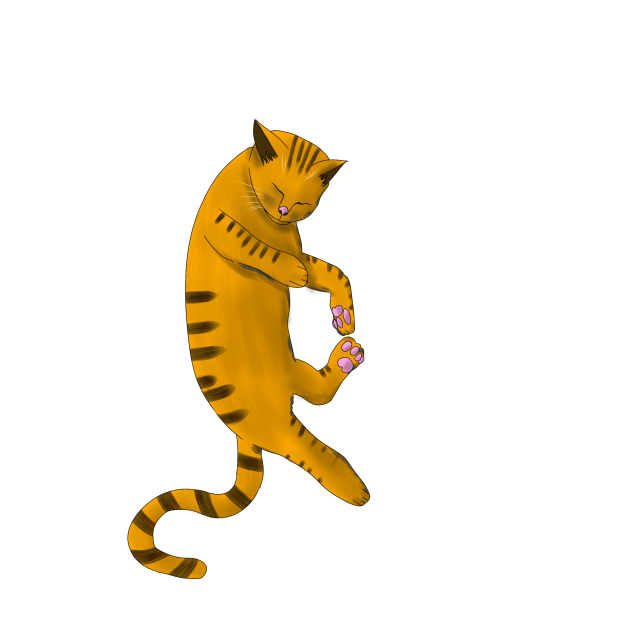 猫