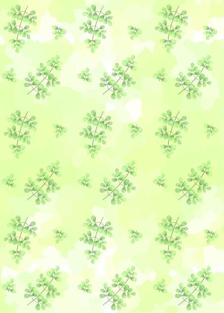 Moringa pattern