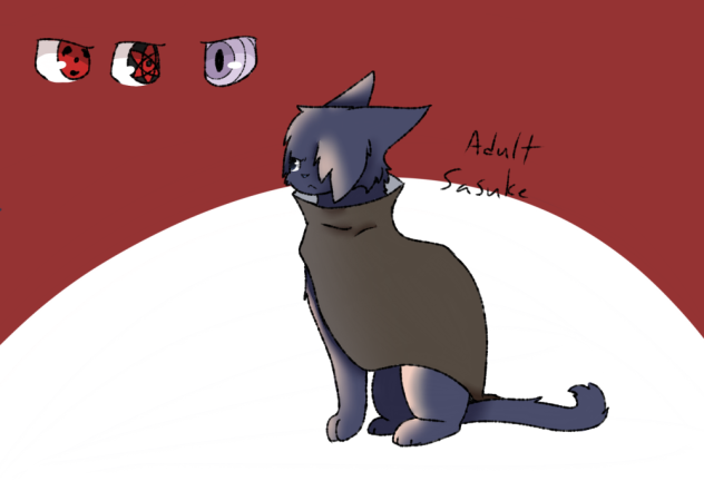 Saskue as a cat