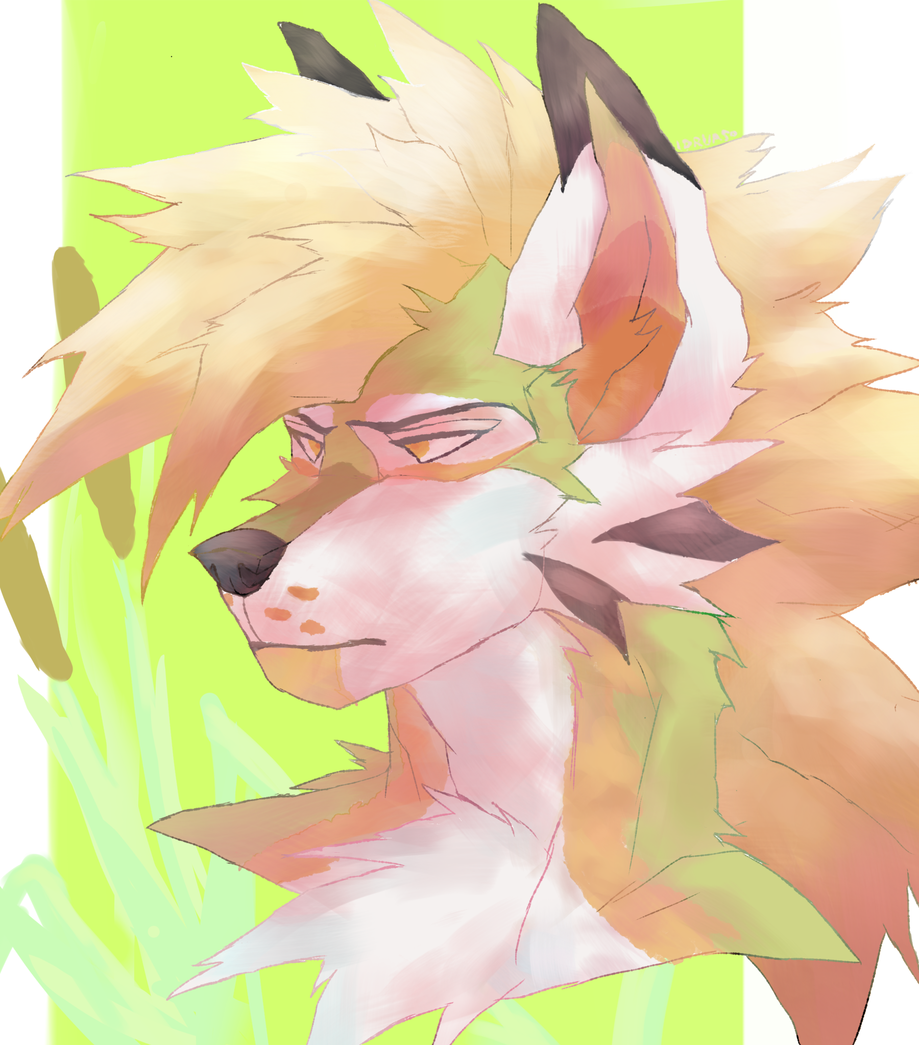 Req - ibisPaint