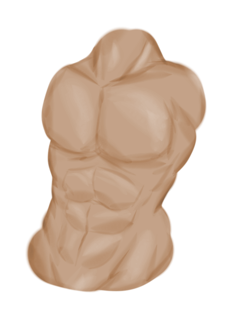 torso