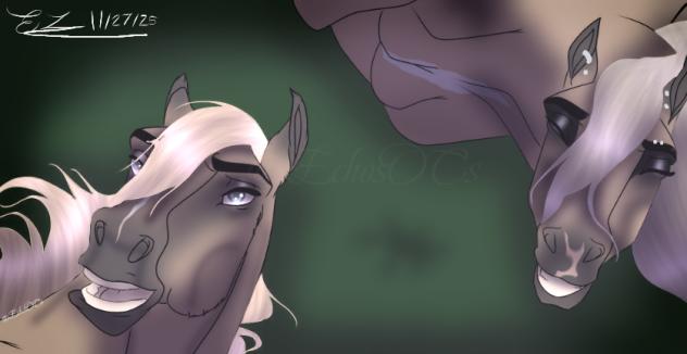 ~ Gazing upon the stars ~