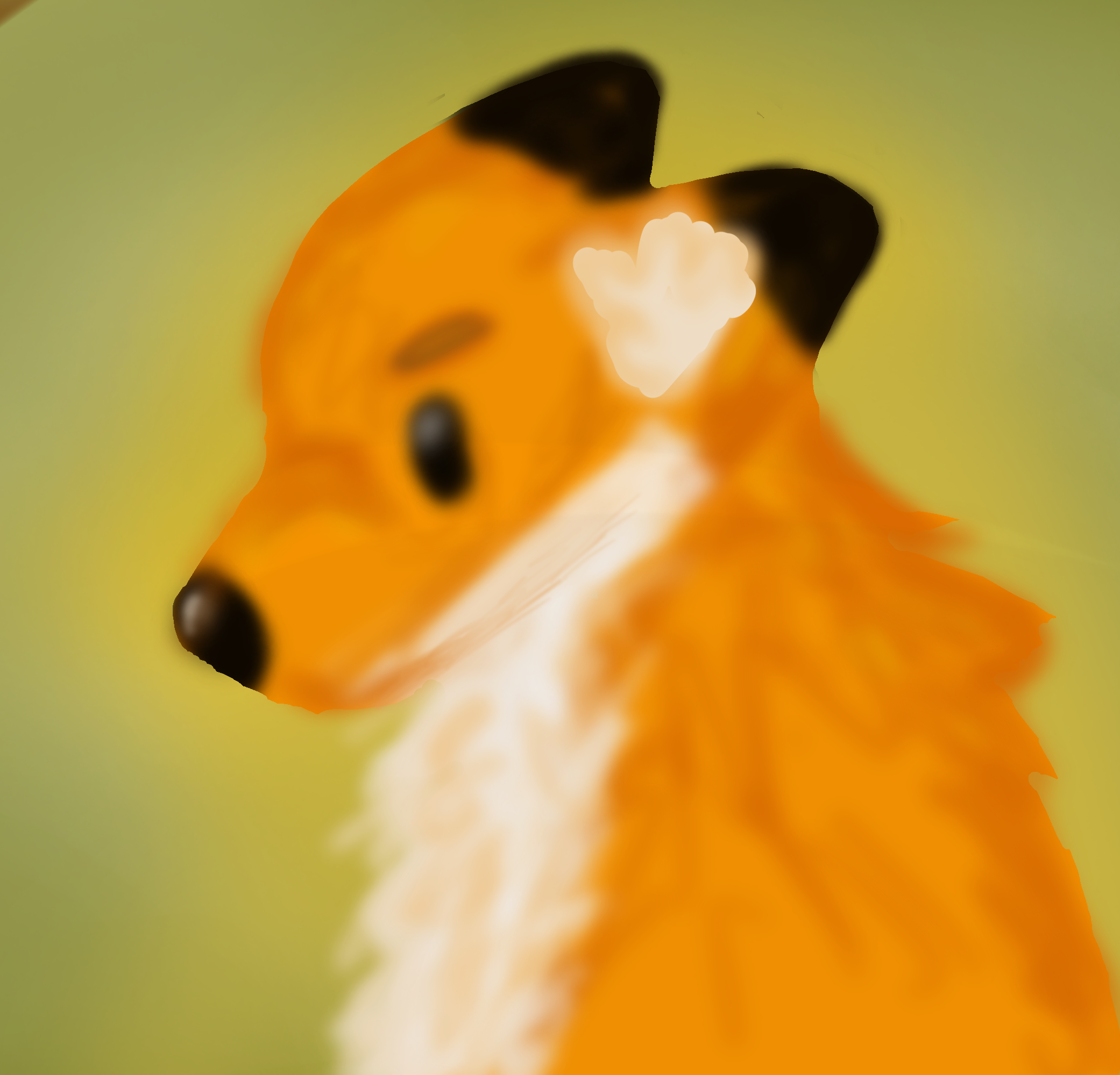 fox - ibisPaint