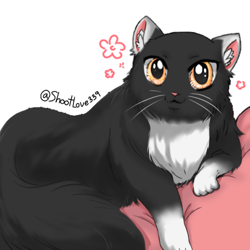 #OC ถ้าน้องๆเป็นแง้ว น้องหวาน😺
