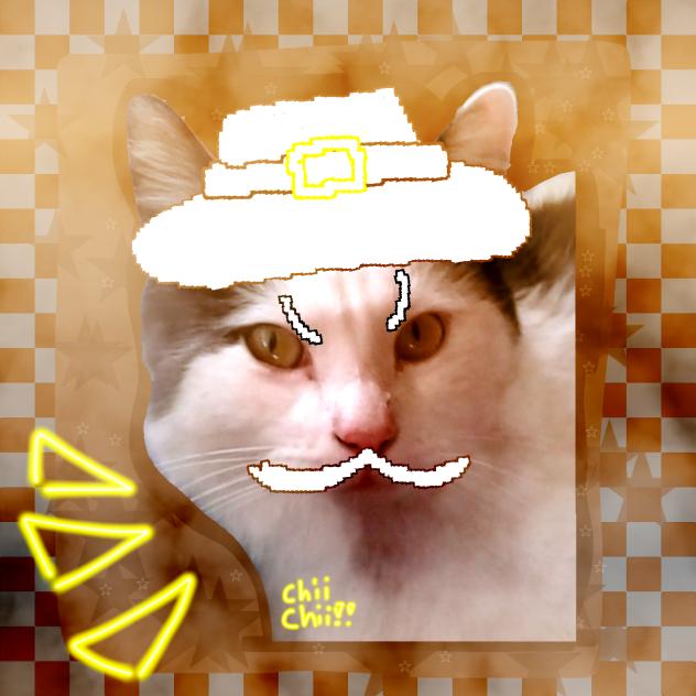 《🤠🤠yeehaw 🤠🤠》
