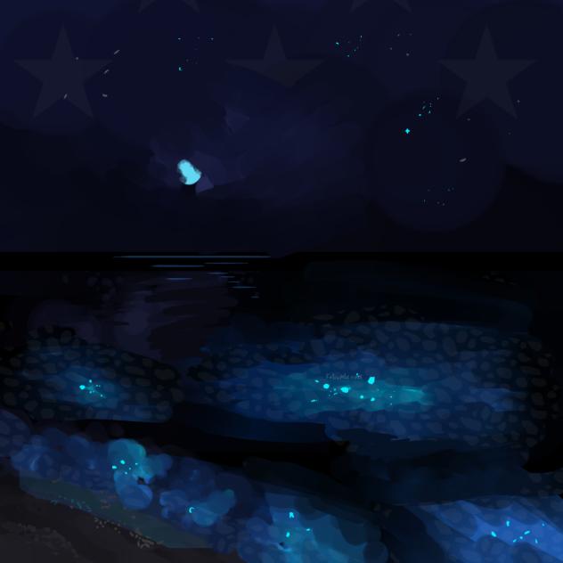 ocean🌊
