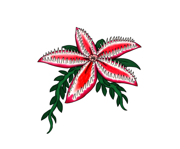 Petalmaw