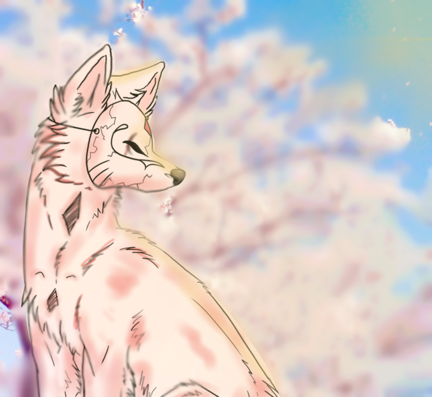 Cherry Blossom