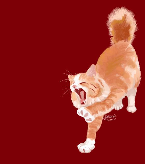 Kitty Stretching