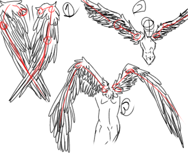 wings - ibisPaint