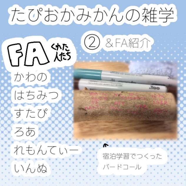 たぴおかみかんの雑学②