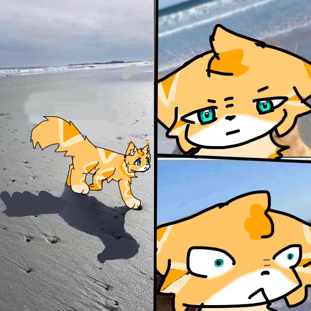 Angwy kitty