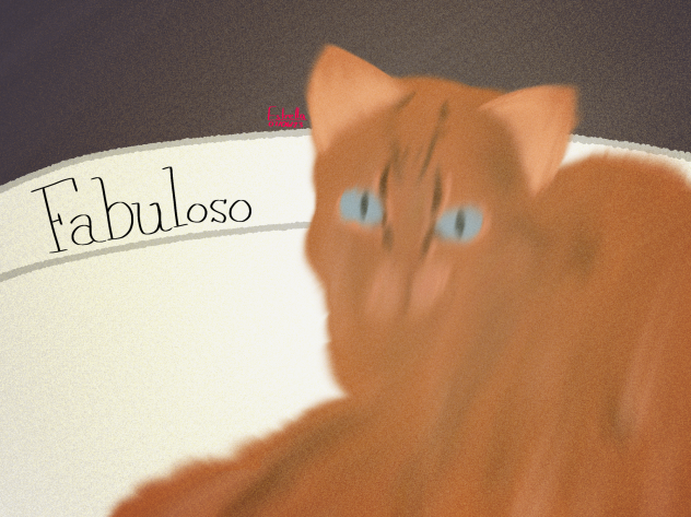 Fabuloso the cat