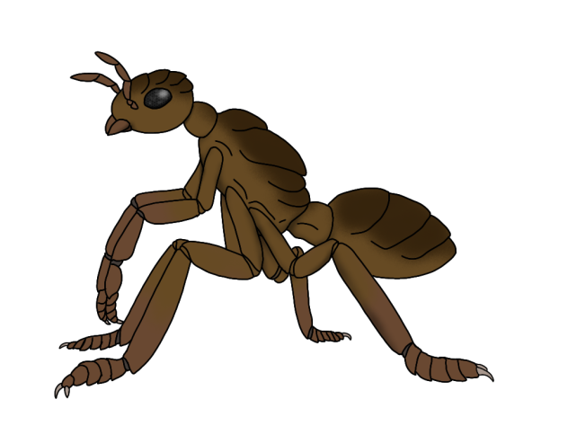 Myrmidonian