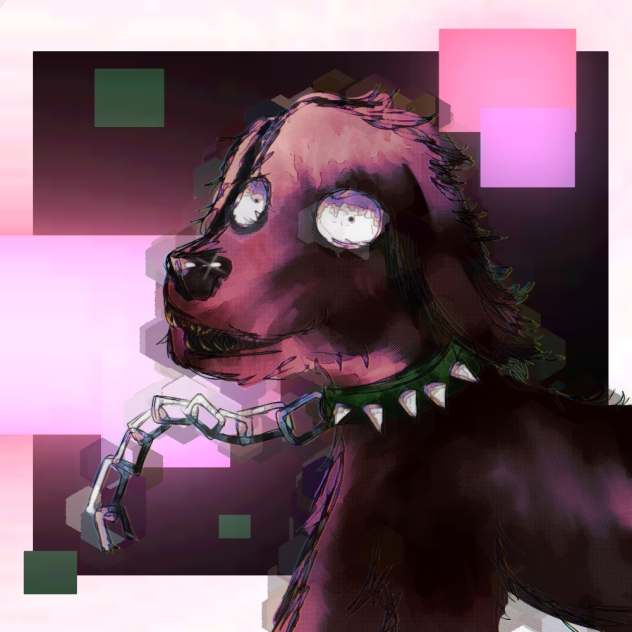 cute dog