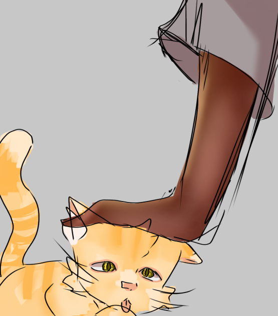 kitty