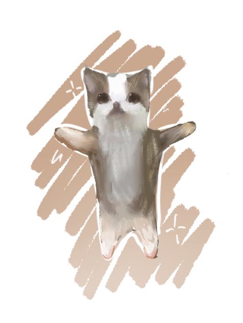 for @dunce