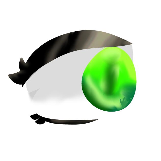 eye