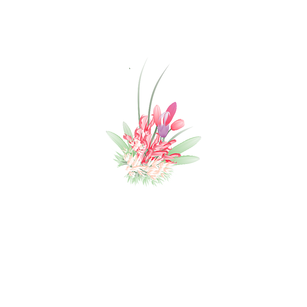 Flower bouquet transparent png ibisPaint