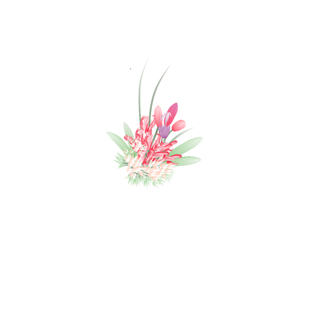 Flower bouquet transparent png ibisPaint